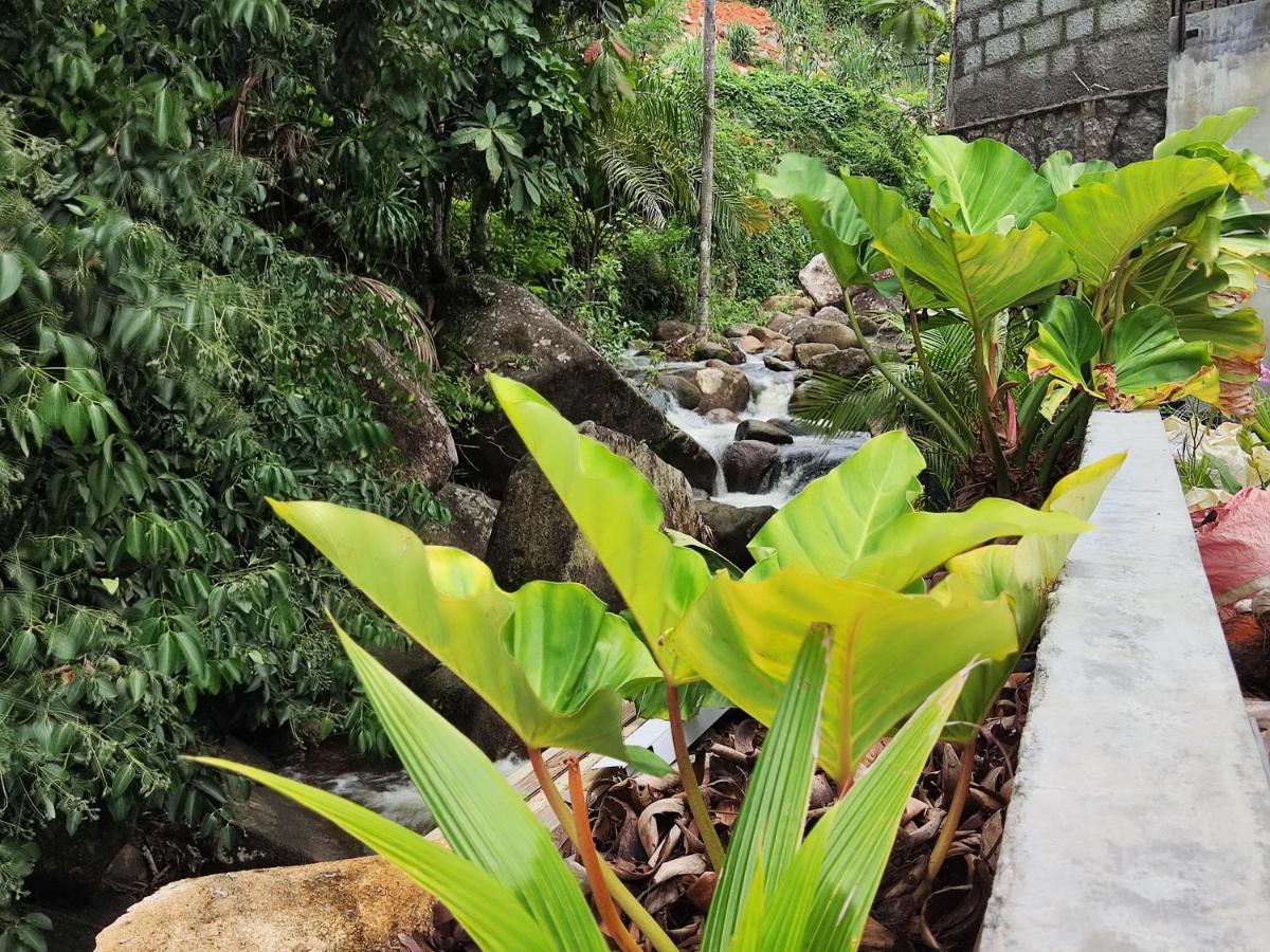 Riverside Mount Simpson - Seychelles Island Beau Vallon  Zewnętrze zdjęcie